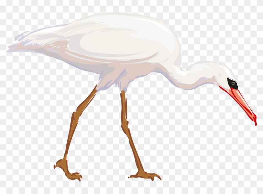 Heron Bird Great Egret Clip Art - Heron Bird Great Egret Clip Art #139380