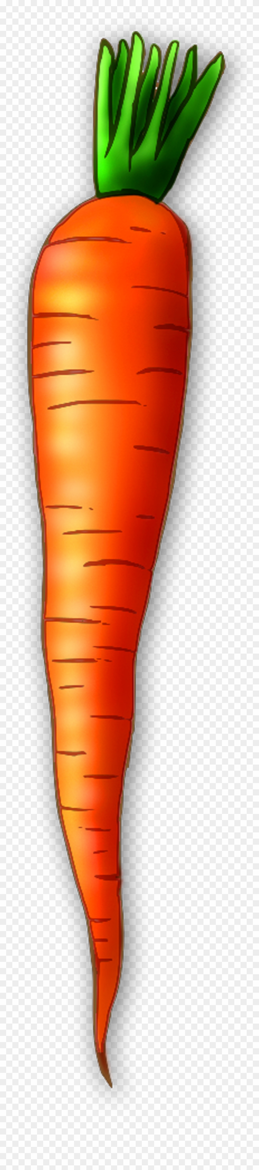 Top 88 Carrot Clip Art - Clip Art #140008