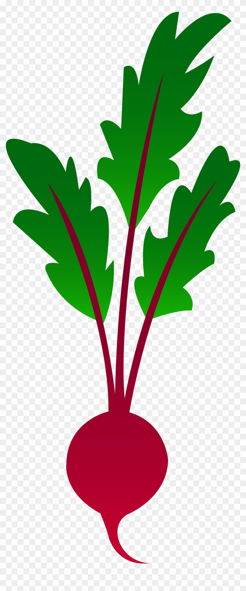 Red Garden Beet - Beet Clip Art #140009