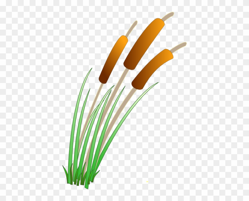 Reeds Clip Art - Reeds Clipart #140180