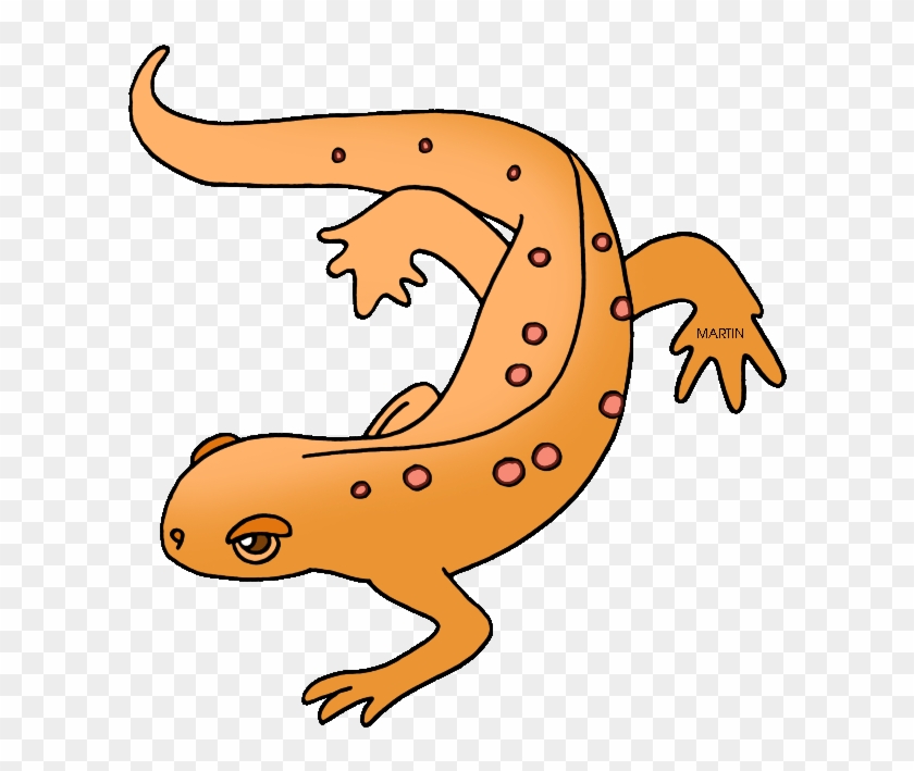 Clip Arts Related To - Newt Clipart #140233