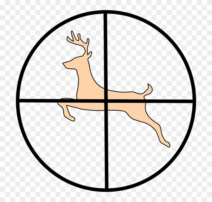 Deer Hunting Targets Are Perfect For Understanding - Circulo Dividido En 8 Partes #140267