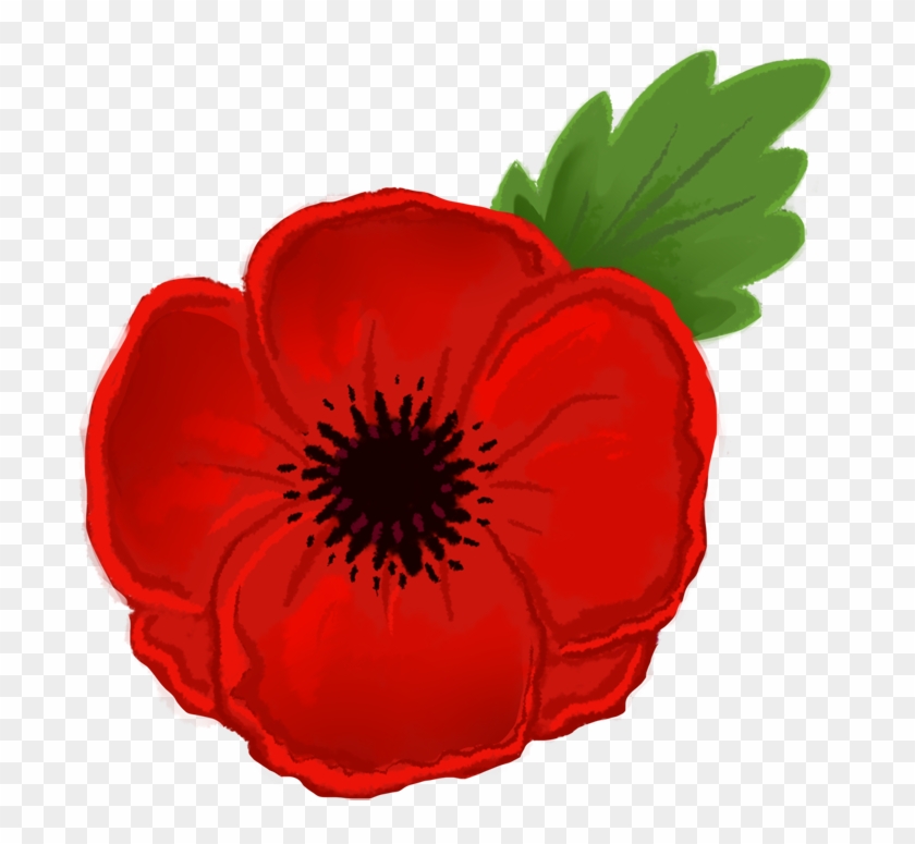 Poppy Clipart Transparent Background - Clipart Poppy #140398