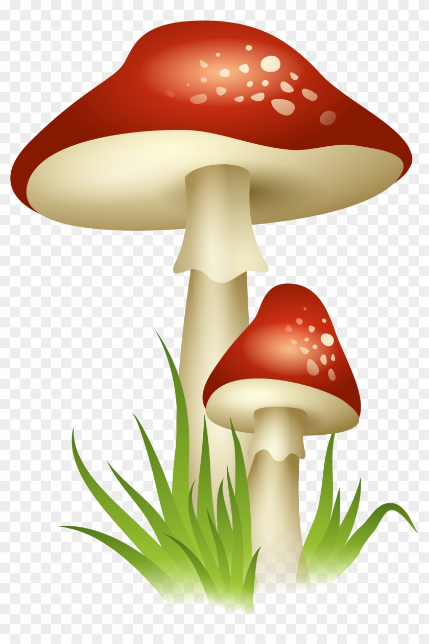 Mushroom Clipart Transparent - Mushroom Transparent Background #140589