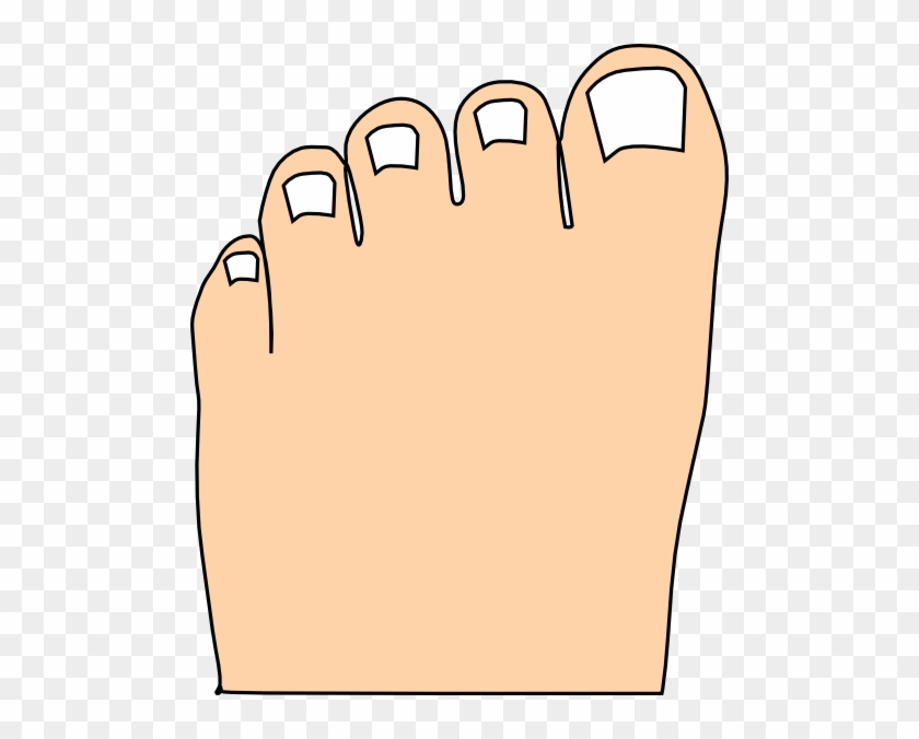 Cartoon Toes Clip Art