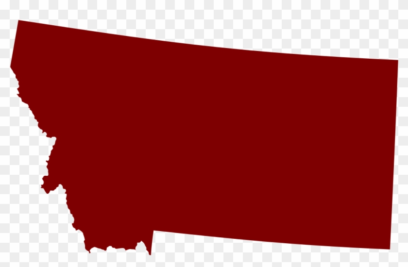 2010 House Elections Montana - Montana - Home State - Gray On White - Lantern Press #141567