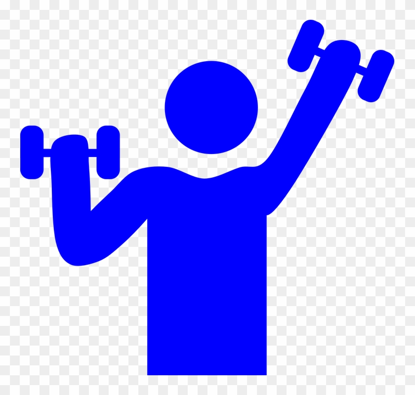 Gym Weight Lifting Muscle Exercise Fitness Male - Fitness Clipart #142526