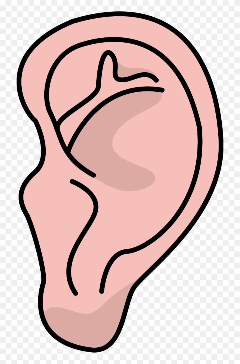 Image For Free Ear Health High Resolution Clip Art - Ear High Resolution #142794