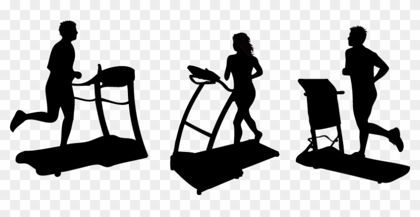 Exercise Equipment Physical Exercise Fitness Centre - Gym Equipment Vector #142949