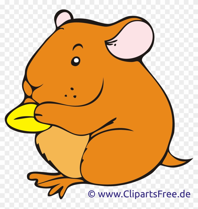 Hamster Clipart Hand Drawn Clipart - Baby Cartoon Hamster Cotton Bibs #144160