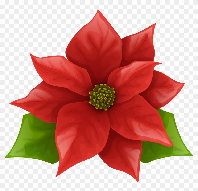 Christmas Poinsettia Png Clip Art Image - Christmas Poinsettia Png Clip Art Image #145036