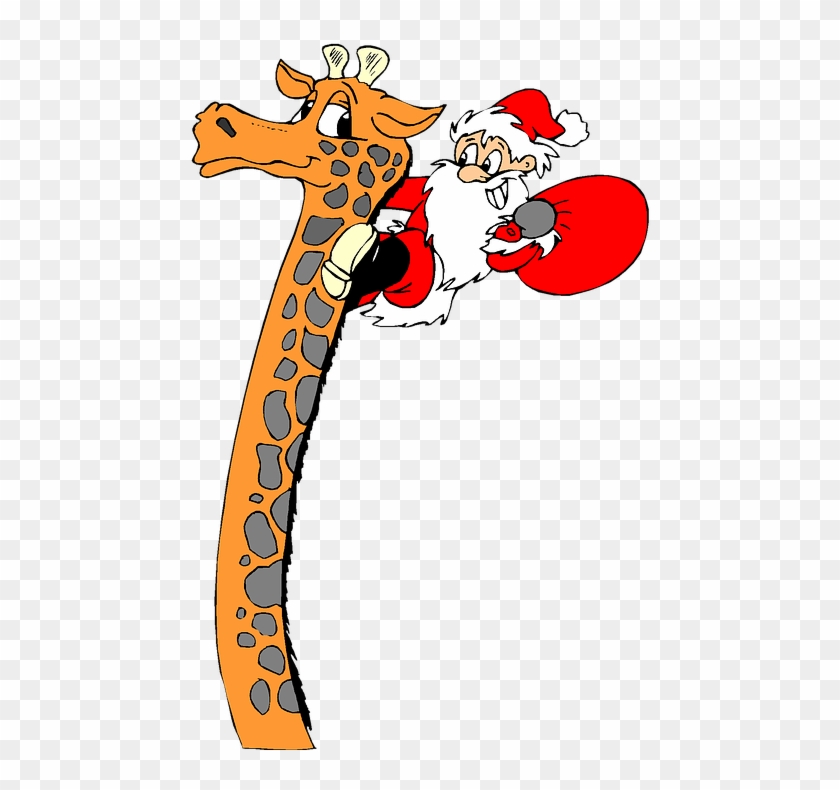 Christmas Holiday Clip Art Giraffe Funny Gifts - Christmas Funny Clipart Transparent #146948