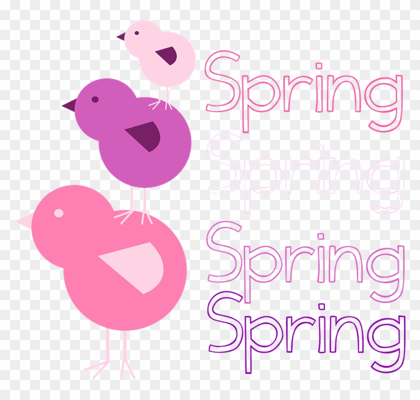 Images Of Owls Clipart 27, - Chicken #769541