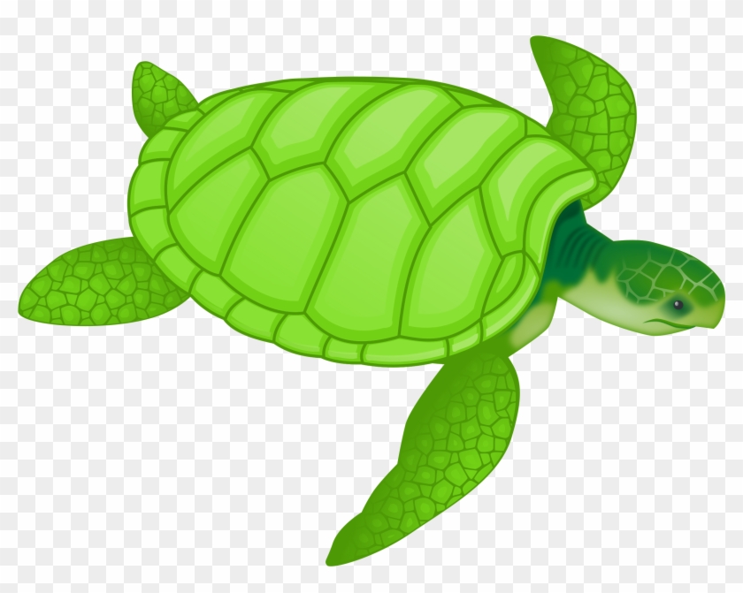 Picture Of Clip Art Sea Turtle Medium Size - Sea Turtle Shower Curtain #769577