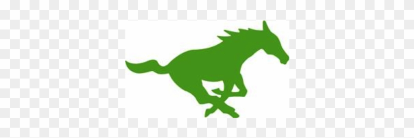 Myers Park Wrestling 2017 Profile Image - Smu Mustangs #770309