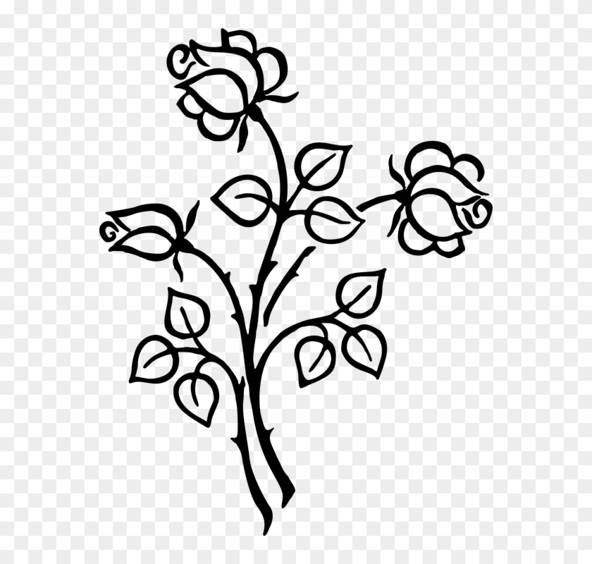 Flower Line Art 5, - Roses Line Art #770754