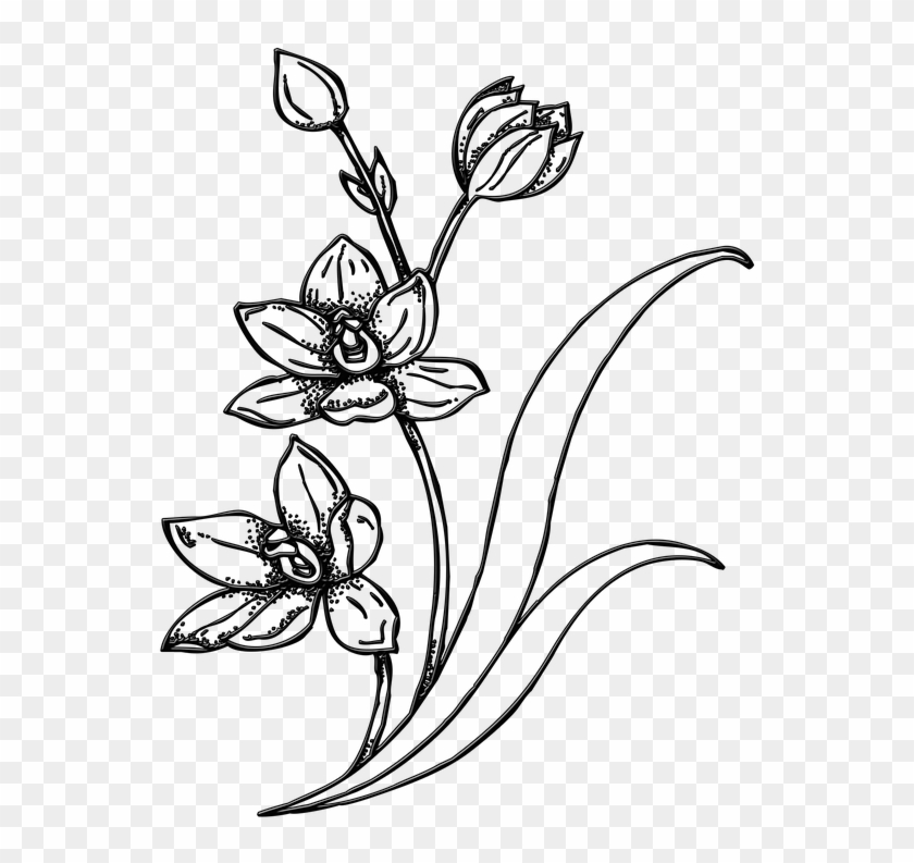 Flowers Line Art 26, Buy Clip Art - Ilustrasi Bunga #770772