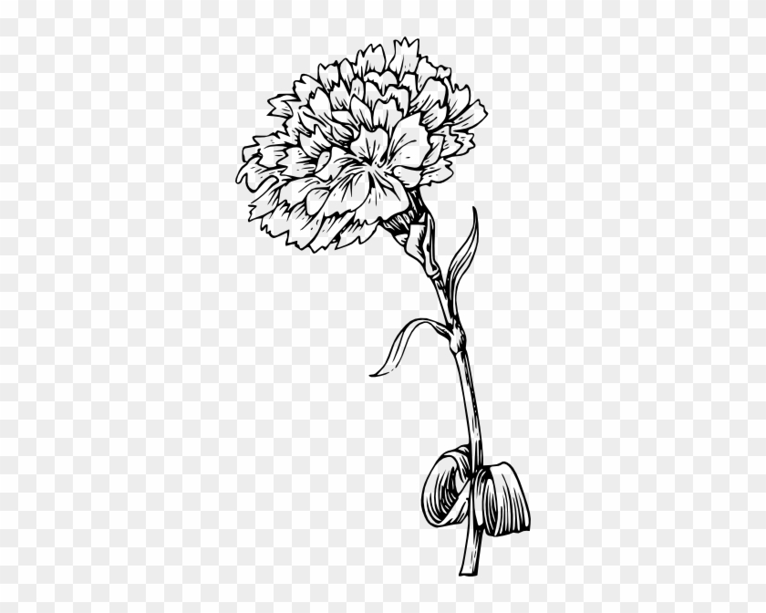 Free Vector Carnation Flower Clip Art - Marigold Black And White #770781