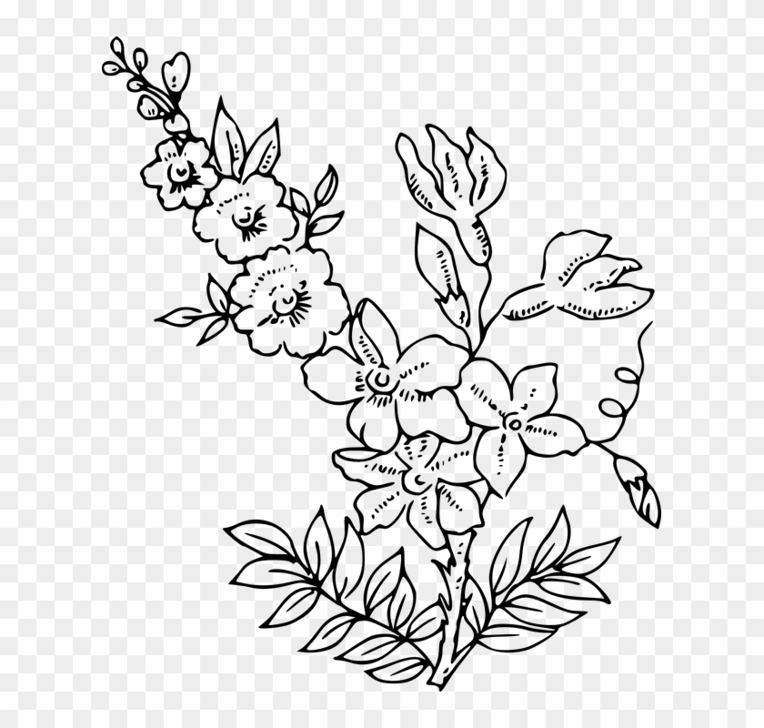 Flowers Line Art 23, - Outline Of Flowers Png #770857