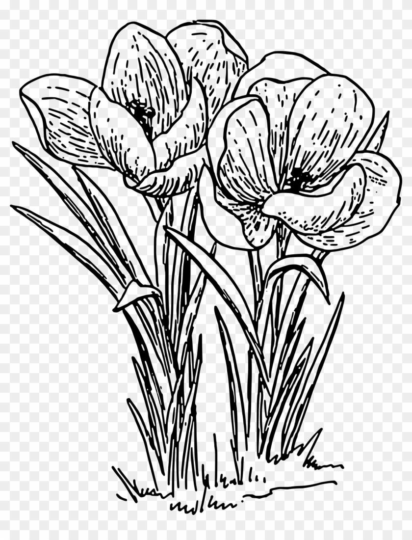 Flower - Plants With Flowers Drawing #770920
