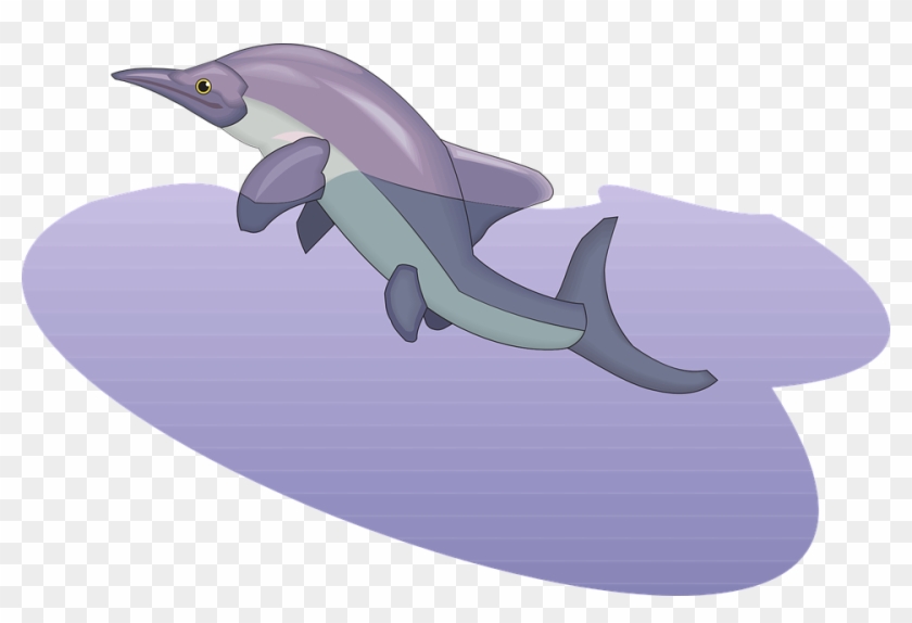 Dolphin Cartoon Image 11, Buy Clip Art - ปลา ว่า ย น้ำ Png #770996