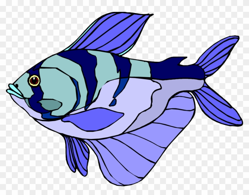 Fish Clip Art - Fish Clip Art #771077