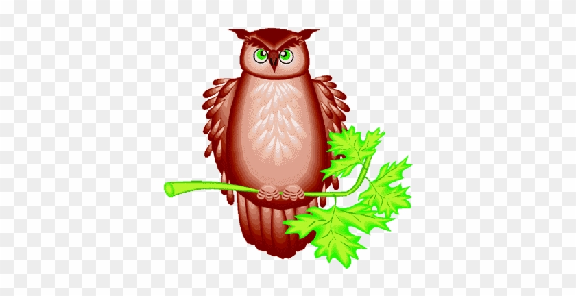 Owl - Owl #771207
