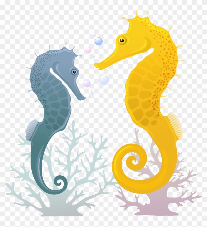 Seahorse Illustration - Seahorse Illustration - Seahorse Illustration - Seahorse Illustration #771619