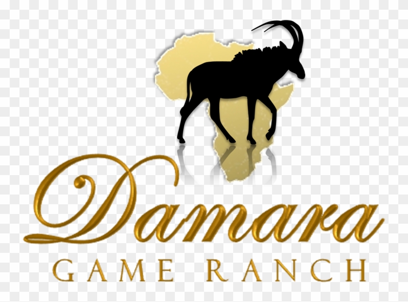Damara Game Ranch - Damara Game Ranch #771569