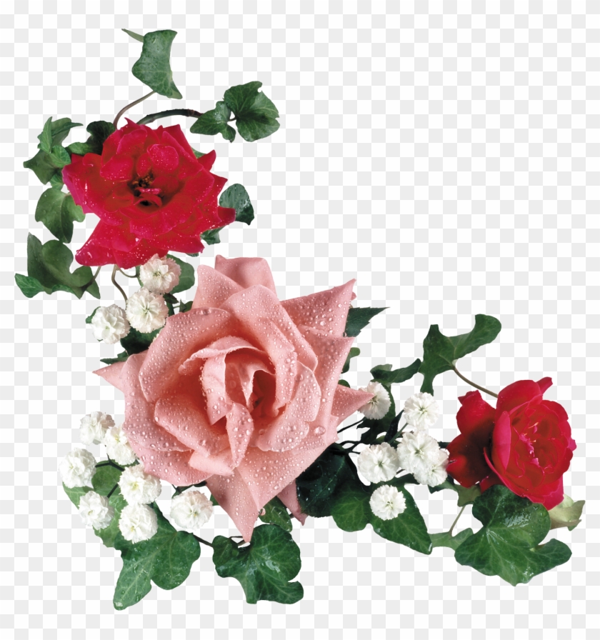 Png形式でダウンロード - Клипарт Цветы Розы #771631
