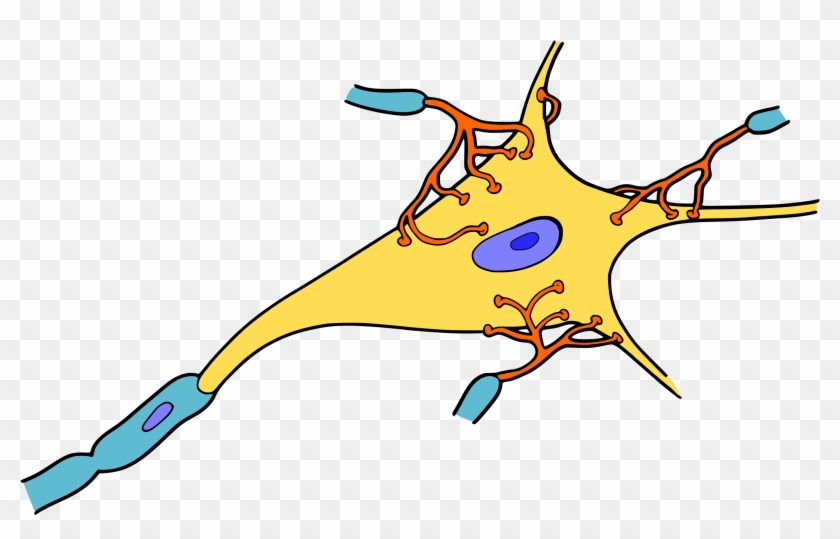 Big Image - Neurona Dibujo Animado #771653