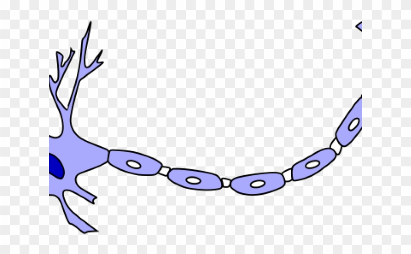 Neuron Clipart Model A - Neuron Cartoon #771666