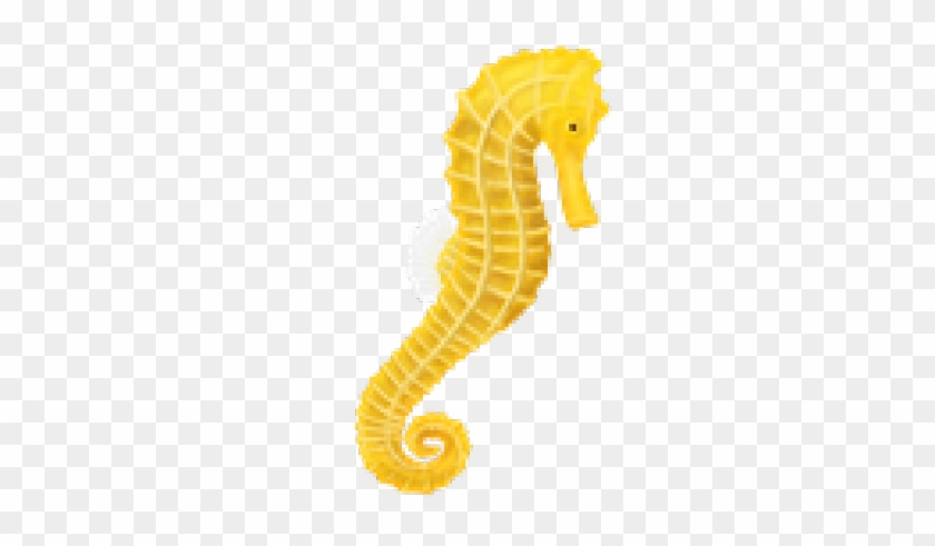 Seahorse Png Transparent Images - Seahorse Png #771674