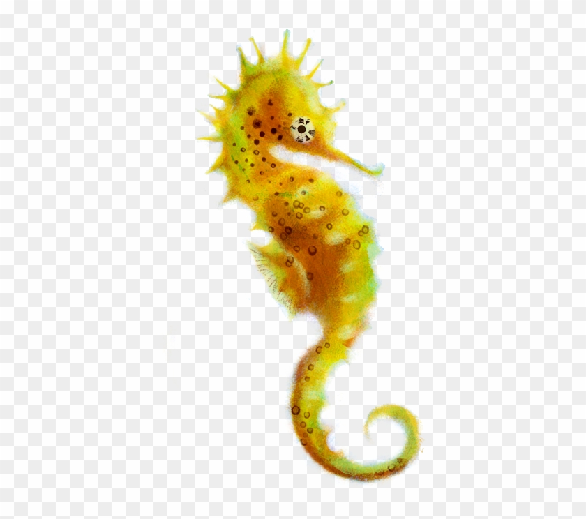 Seahorse Pictureid=16080459 - Clipart Best - Clipart - Sea Horse Png #771675