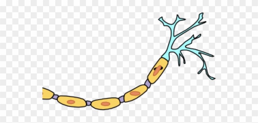 Neuron Clipart Animated - Neuron Cartoon #771680