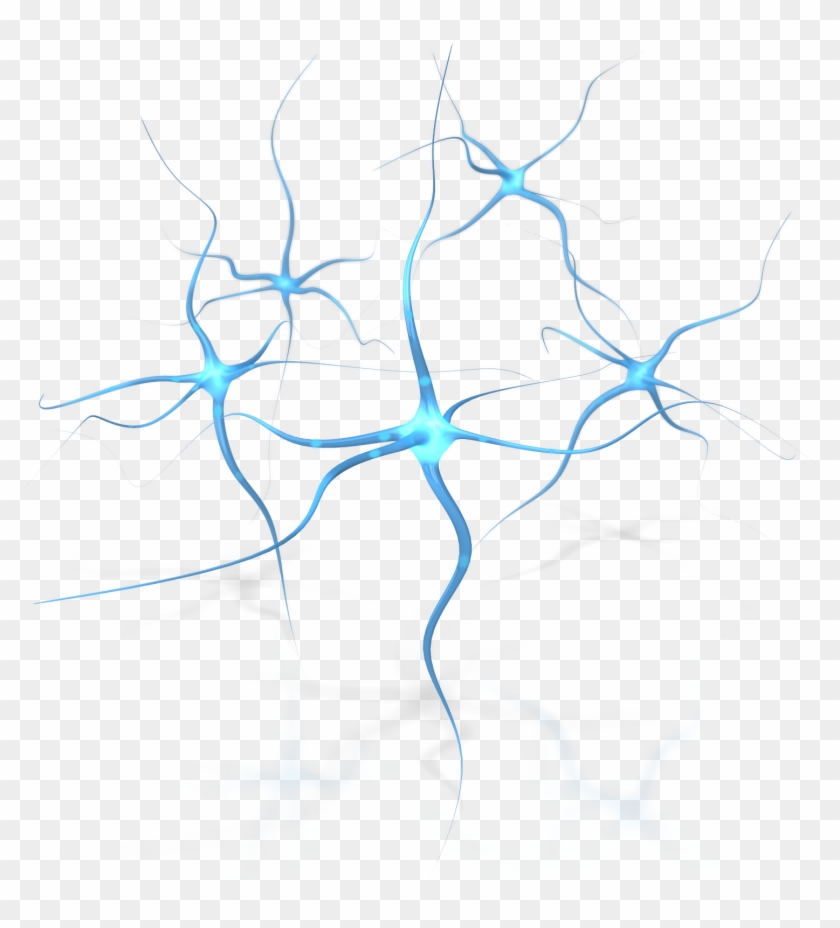 Neuron Human Brain Neuropsychology Clip Art - Neuron Human Brain Neuropsychology Clip Art #771811