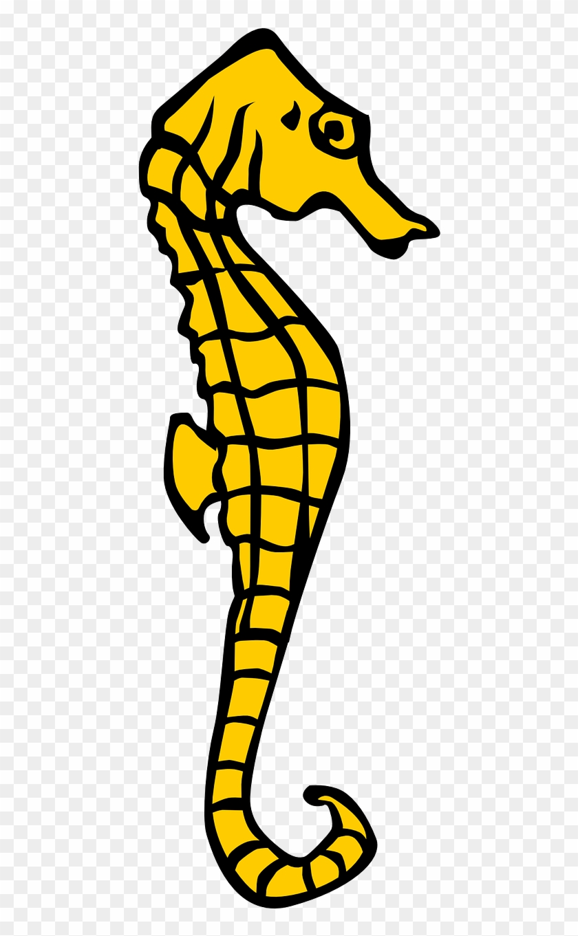 Seahorse Yellow Heraldry Ocean Png Image - Seahorse Clipart #771742