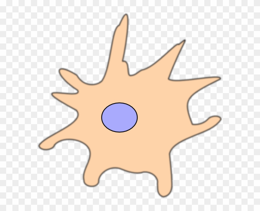 Dendritic Cell Clip Art #771835