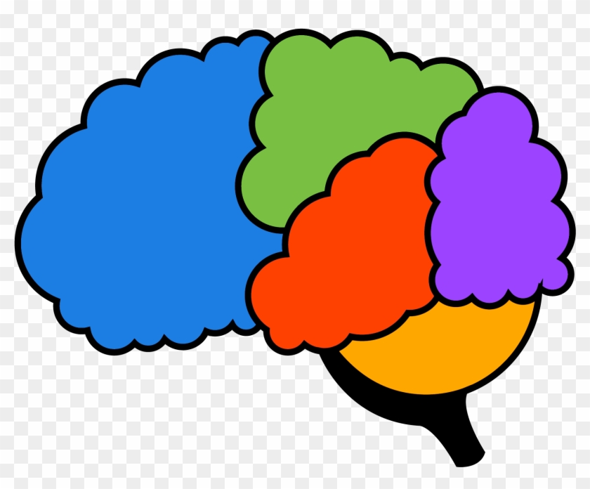 Brain - Plate #771911