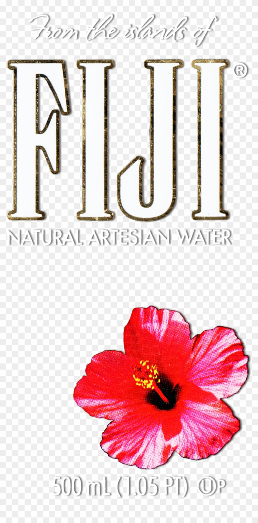 Red Hibiscus Flower Clipart - Fiji Water Bottle Flower #772032