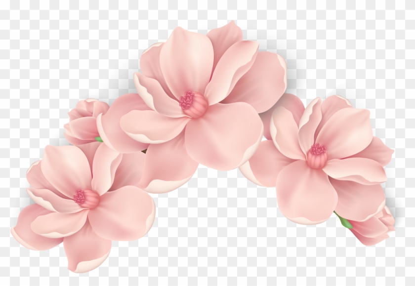 Pink Flowers Pink Flowers Vector Hand Painted Pink - Pink Flower Vector Transparent #772099