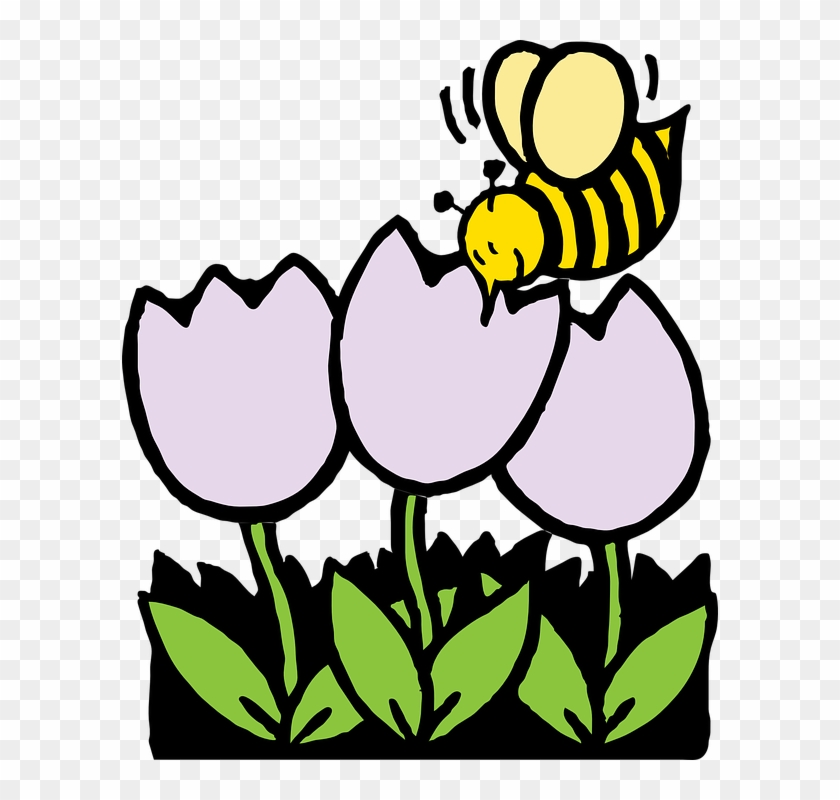 Lebah, Lebah Madu, Bunga Bunga, Putih, Tanaman - Coloring Pages Of Flowers #772149