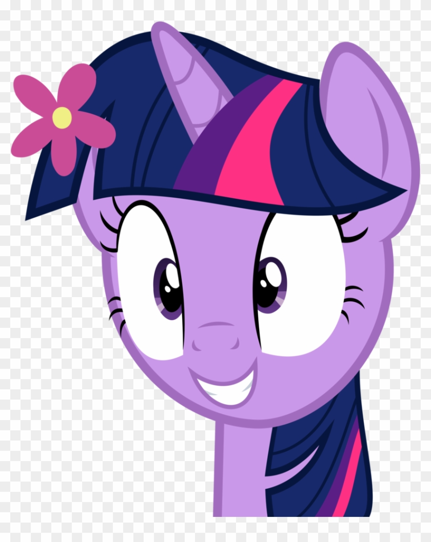 Slb94, Cute, Flower, Flower In Hair, Grin, Safe, Simple - My Little Pony Face #772235