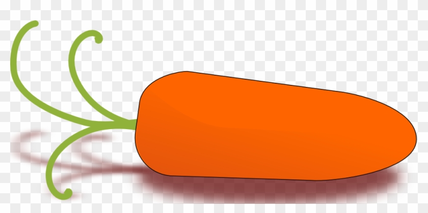 Little Carrot - Vegetable Clip Art #772597