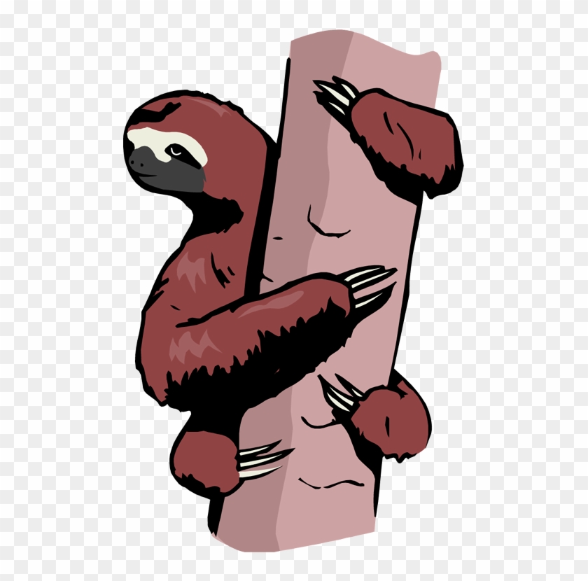 Sloth Clipart - Cartoon #773358