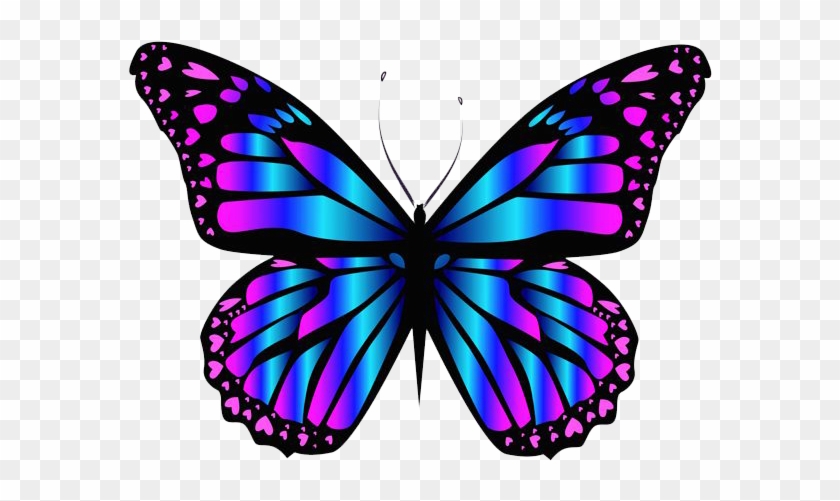 Download Png Image Report - Blue And Purple Butterflies #773364