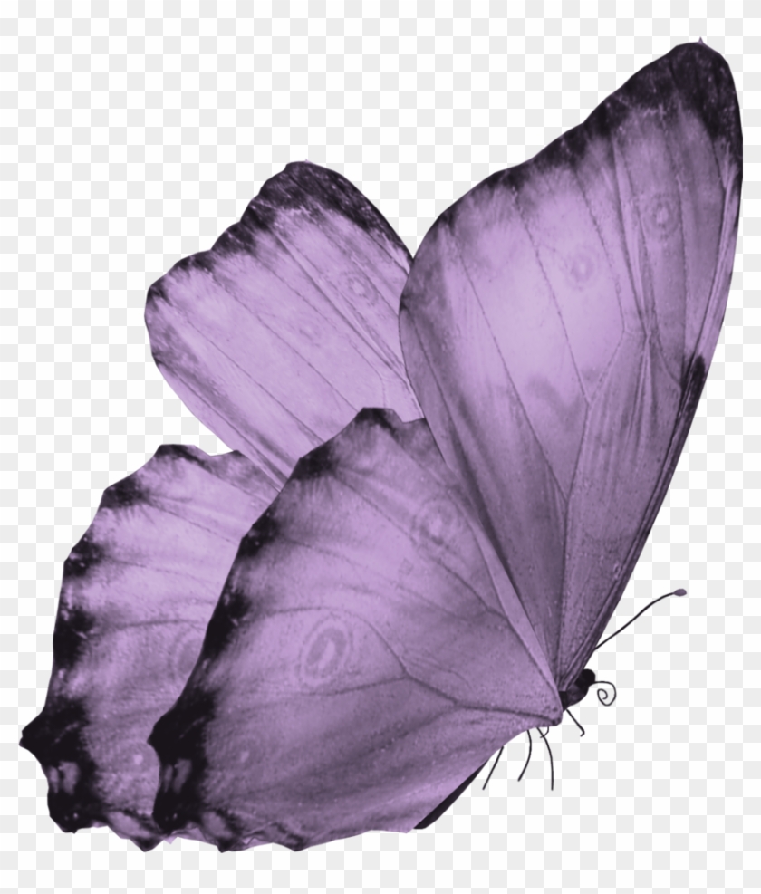 Butterfly Png By Yotoots - Butterfly Png For Photoshop #773367