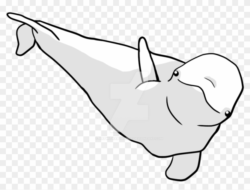 Beluga Clipart Porpoise - Drawing #773843