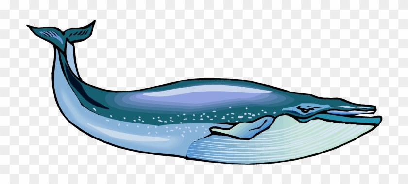 Blue Whale Clip Art - Blue Whale #773852