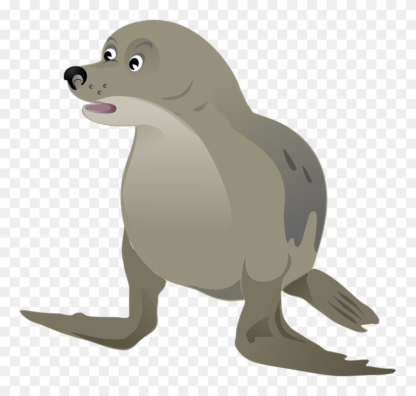 Seal Clipart Ocean - Gambar Anjing Laut Kartun #773902